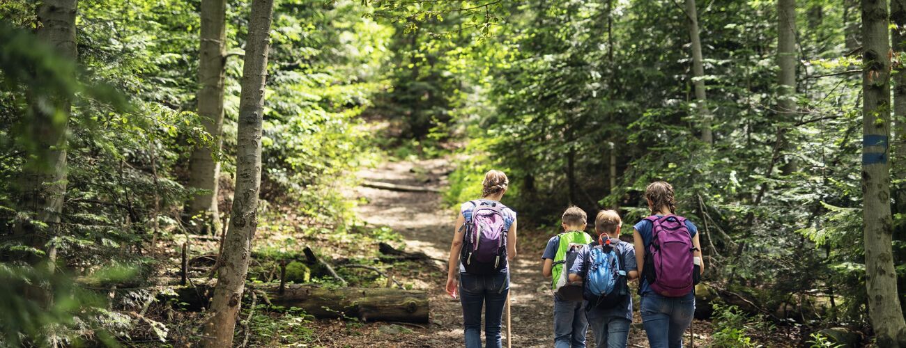 Lehrerin mit drei Kindern wandern im Wald. | © iStock/Imgorthand